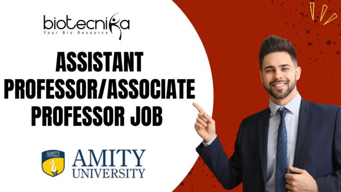 Assistant Professor/Associate Professor Job