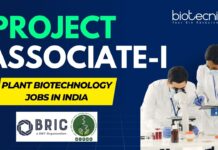 Join BRIC-NIPGR as Project Associate-I in Plant Molecular Research! Apply Now! BRIC-NIPGR Hiring Project Associate-I Apply Now