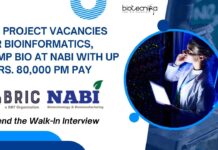 NABI Bioinformatics Projects Vacancies