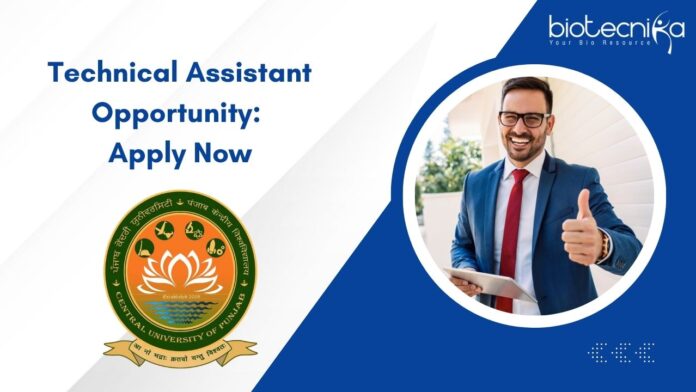Technical Assistant Opportunity: Apply Now