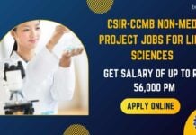 CSIR-CCMB Non-Med Project Jobs For Life Sciences