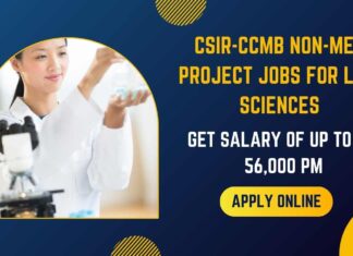 CSIR-CCMB Non-Med Project Jobs For Life Sciences