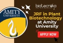 JRF in Plant Biotechnology - at Amity University