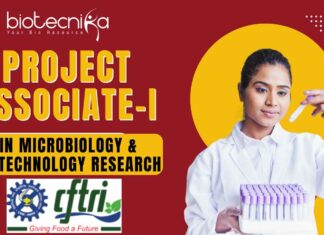 CSIR-CFTRI Mysuru is Hiring Project Associate-I (PAT-I)