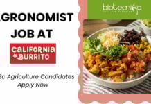 Agronomist Jobs at California Burrito