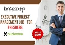 Executive Project Management Job - for Freshers