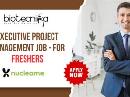 Executive Project Management Job - for Freshers
