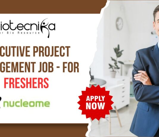 Executive Project Management Job - for Freshers