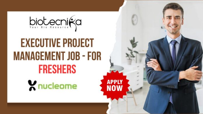 Executive Project Management Job - for Freshers