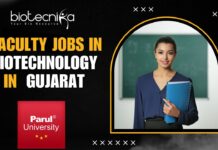 Faculty Jobs in Biotechnology