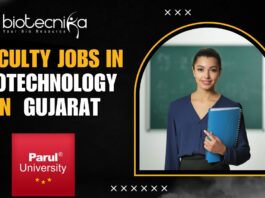 Faculty Jobs in Biotechnology