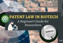 Patent Law in Biotech: A Beginner’s Guide for Researchers
