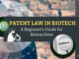Patent Law in Biotech: A Beginner’s Guide for Researchers