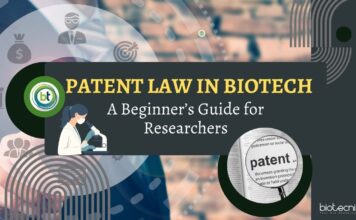 Patent Law in Biotech: A Beginner’s Guide for Researchers