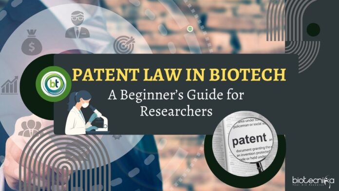 Patent Law in Biotech: A Beginner’s Guide for Researchers