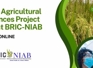 Agricultural Sciences Project Job at NIAB