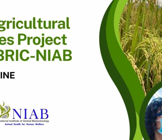 Agricultural Sciences Project Job at NIAB