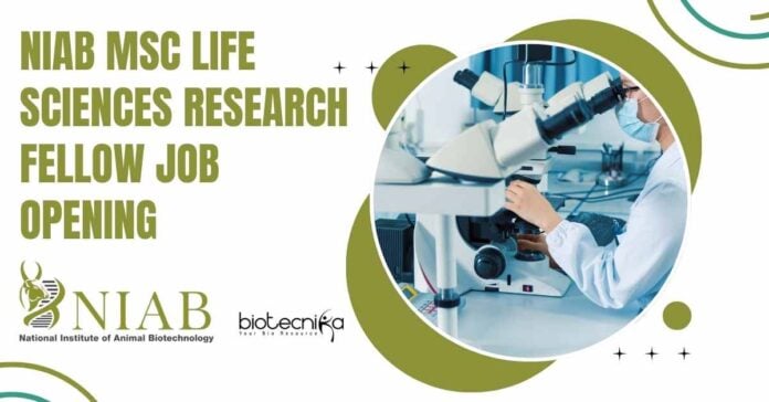 NIAB MSc Life Sciences SRF Job Opening