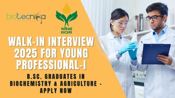 ICAR-IIOR Hiring Young Professional-I Walk-in on 13 May