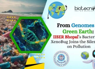 IISER Bhopal Bacterial AI XenoBug Joins the Silent War on Pollution