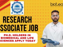 IIT Indore Research Associate Job 2025 Apply by June 6