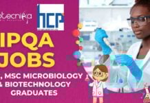 IPQA Jobs at HCP Wellness for BSc, MSc Microbiology & Biotechnology Graduates - Apply Now!
