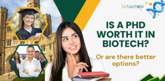 Is a PhD Worth It in Biotech?