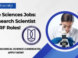 JNU Life Sciences Jobs: Research Scientist & JRF Roles! MSc Biological Science Candidates Apply Now!