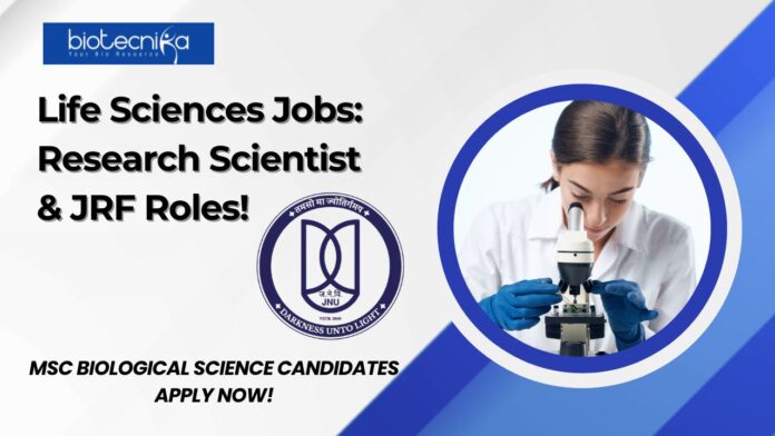 JNU Life Sciences Jobs: Research Scientist & JRF Roles! MSc Biological Science Candidates Apply Now!
