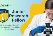 JRF Vacancy at Amity University Noida – M.Sc. in Microbiology/ Biotechnology Candidates Apply Now