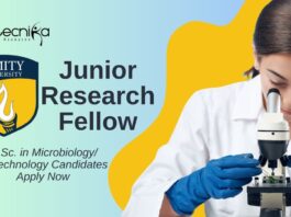 JRF Vacancy at Amity University Noida – M.Sc. in Microbiology/ Biotechnology Candidates Apply Now