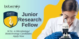 JRF Vacancy at Amity University Noida – M.Sc. in Microbiology/ Biotechnology Candidates Apply Now