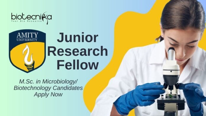 JRF Vacancy at Amity University Noida – M.Sc. in Microbiology/ Biotechnology Candidates Apply Now