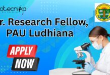 Punjab Agricultural University Research Fellow Recruitment – Applications Invited Jr. Research Fellow, PAU Ludhiana