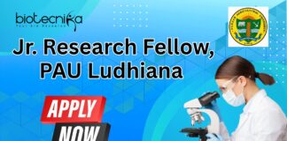 Jr. Research Fellow, PAU Ludhiana