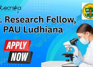 Jr. Research Fellow, PAU Ludhiana