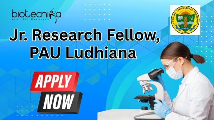 Jr. Research Fellow, PAU Ludhiana