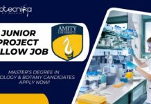 Junior Project Fellow Job at Amity
