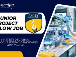 Junior Project Fellow Job at Amity
