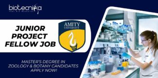 Junior Project Fellow Job at Amity