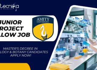 Junior Project Fellow Job at Amity