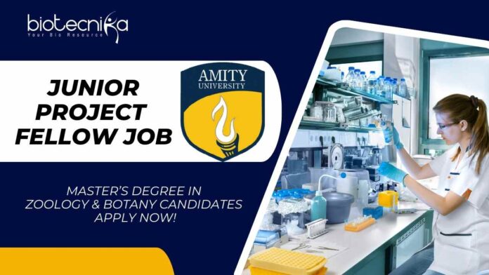 Junior Project Fellow Job at Amity