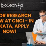 Junior Research Fellow at CNCI