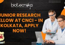 Join CNCI Kolkata: Junior Researcher Role for Fellowship Holders, Apply Now! Junior Research Fellow at CNCI