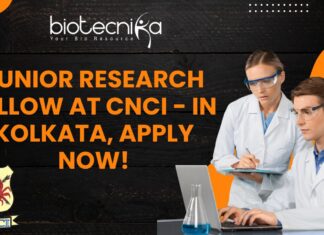 Junior Research Fellow at CNCI