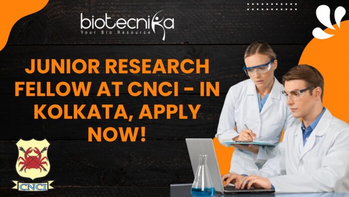 Junior Research Fellow at CNCI