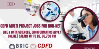 CDFD Project Jobs For Non-NET