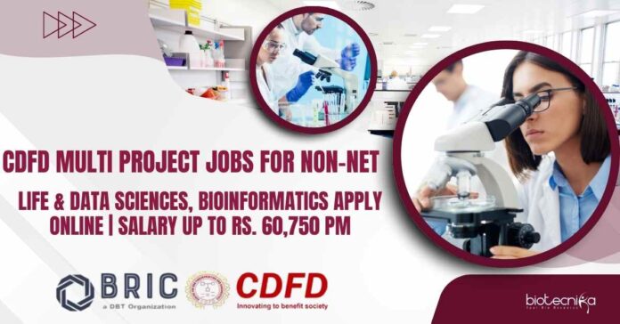CDFD Project Jobs For Non-NET