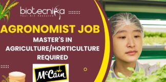 McCain Hiring Agronomist Job in Mehsana Apply for Agri Role Now