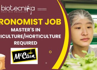 McCain Hiring Agronomist Job in Mehsana Apply for Agri Role Now
